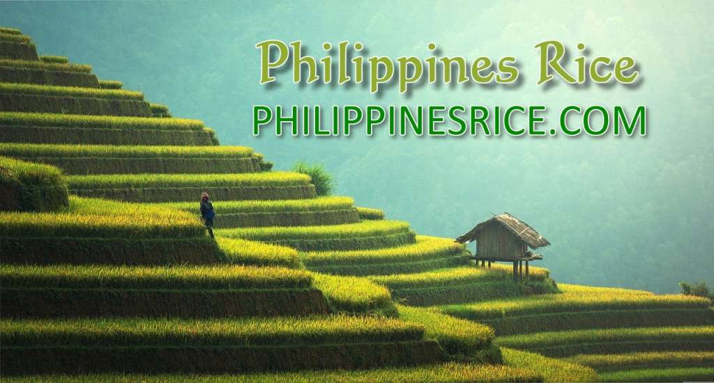 Philippines Rice Distributor